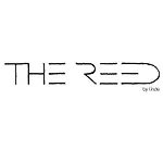 Reed By Linde * Maria Wörth